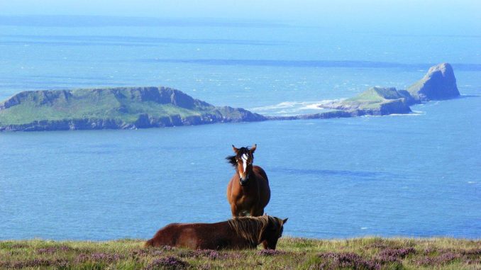 The Gower Aera of Outstanding Natural Beauty (Image: Rodw CC3.0)