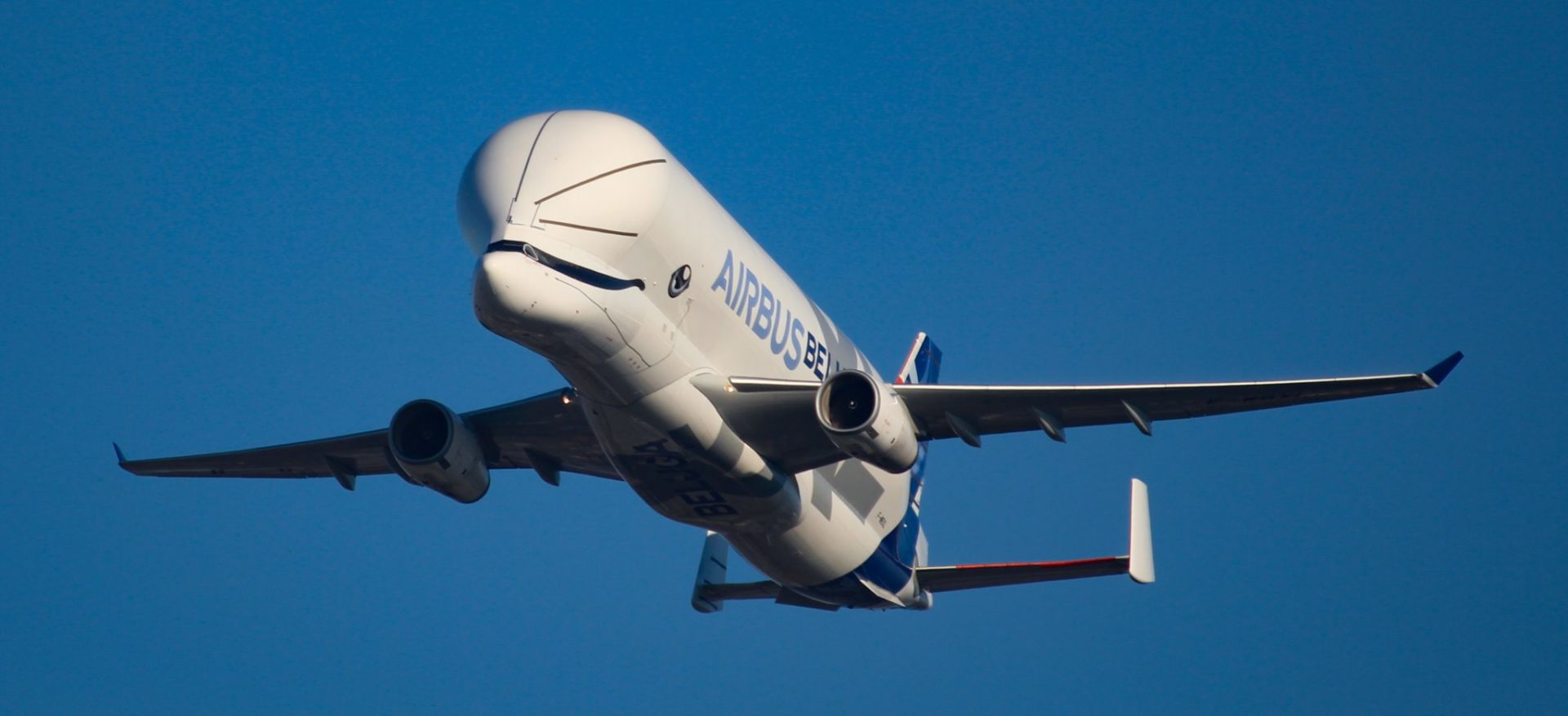 Airbus Beluga XL arrives at Airbus Filton (Image: Aviation Media Co.)